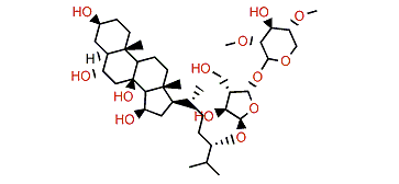 Mediasteroside M4